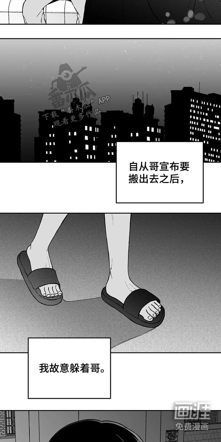 第104章：【第二季】规则8