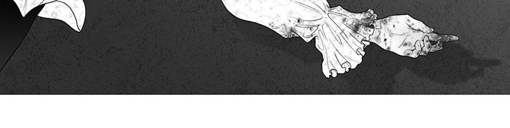 第2章：车祸12