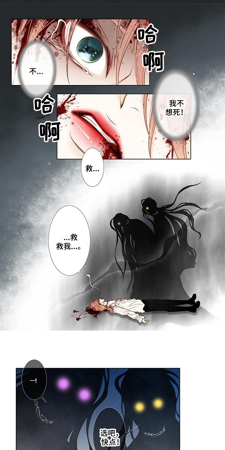 第3章：缘由3