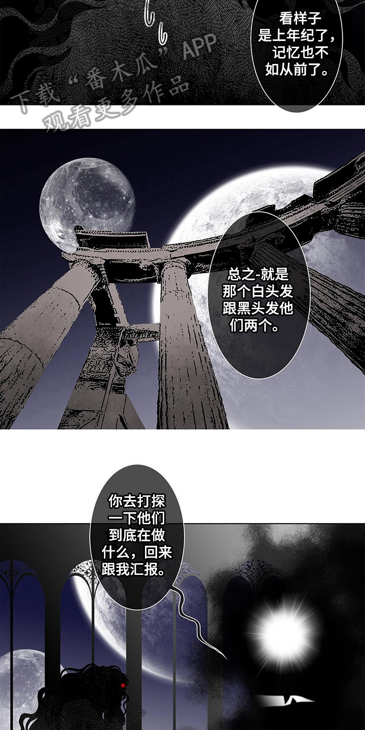 第23章：命令7