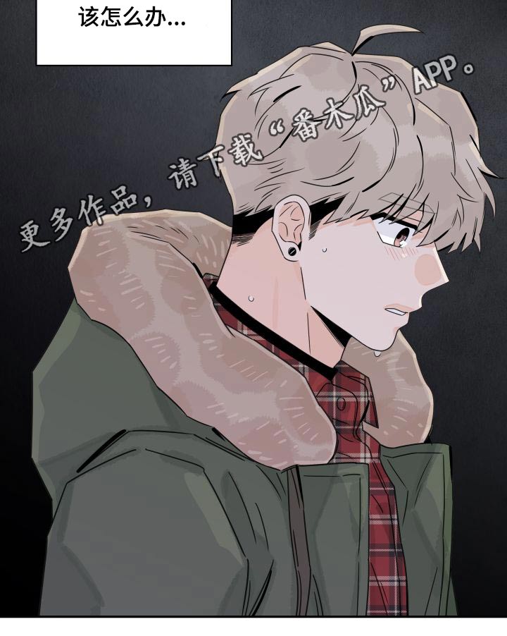 第135章：【第三季】忙碌18