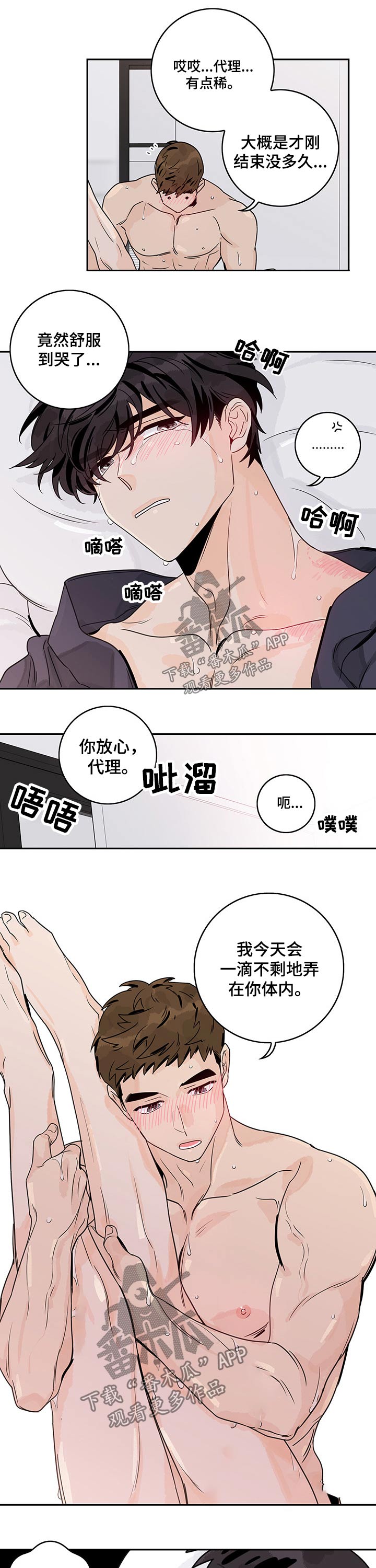 第42章：激动5