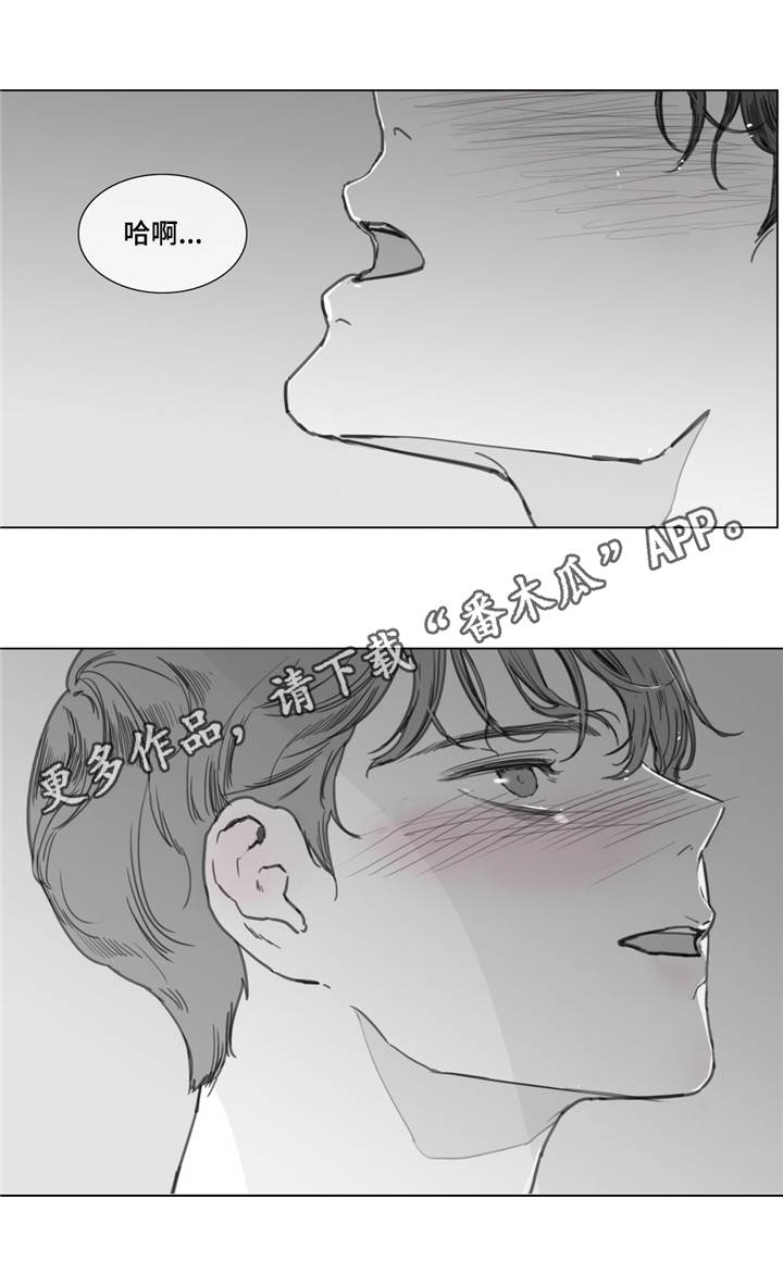 第21章：各自的心思9