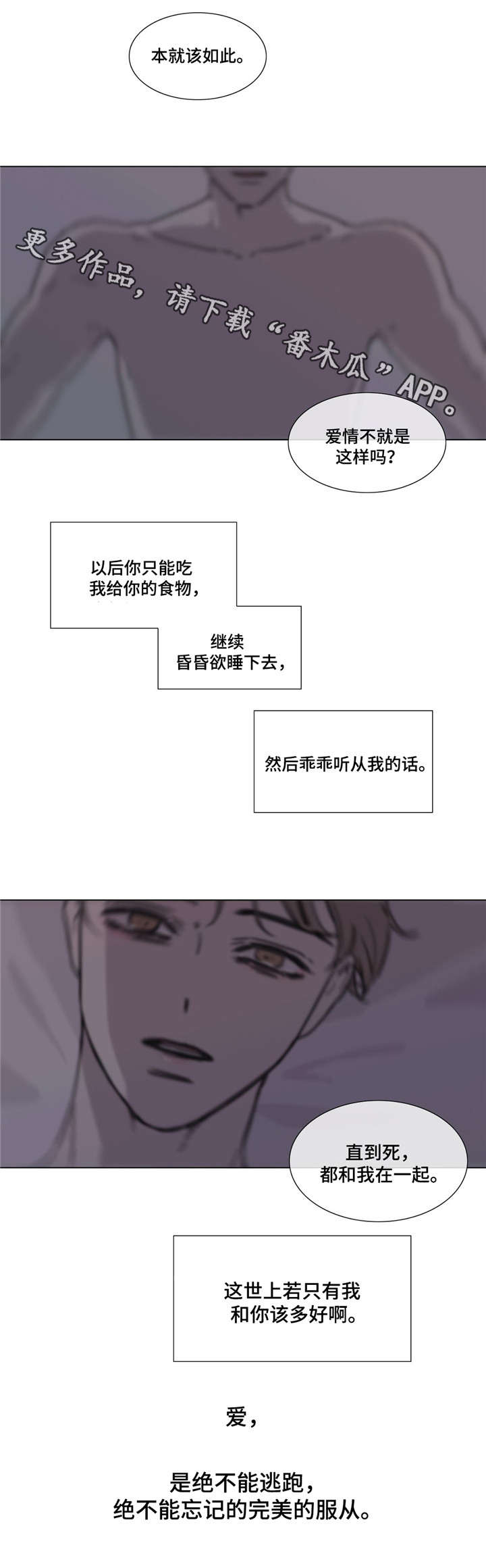 第53章：展望未来15