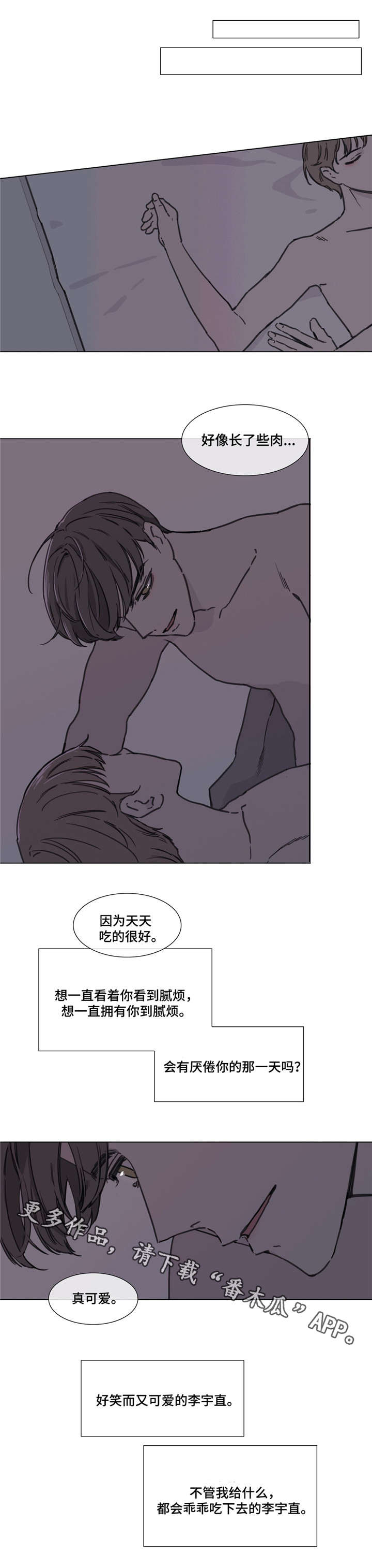 第53章：展望未来12