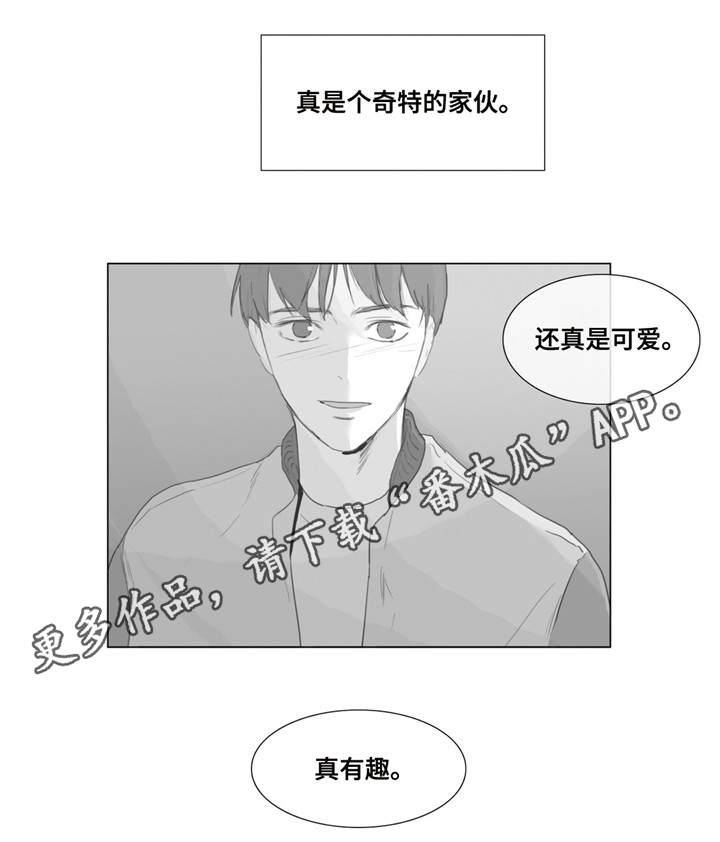 第3章：一见钟情7