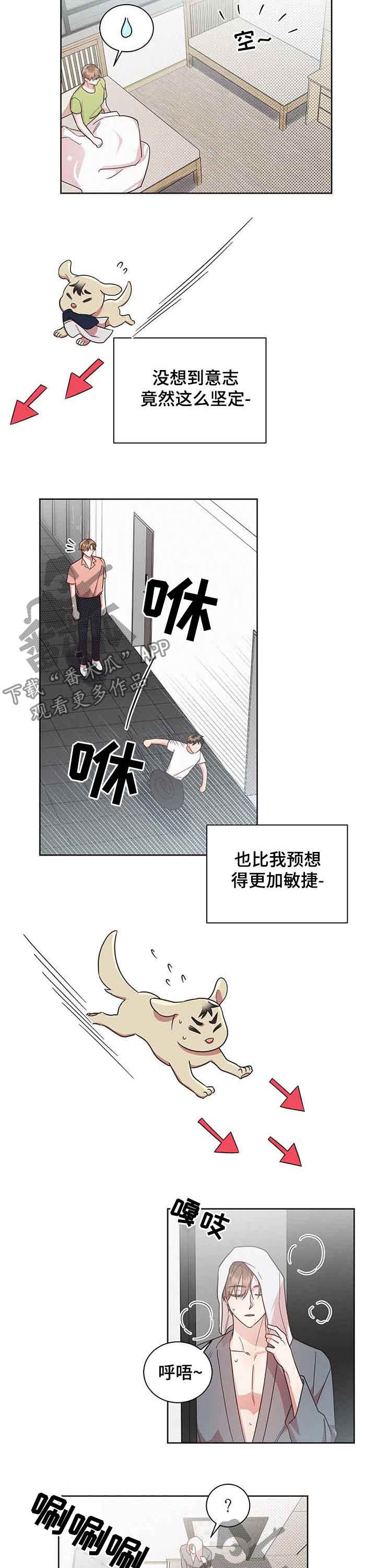 第33章：追着他跑2