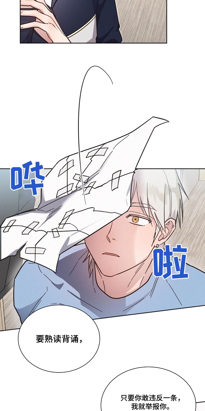 第101章：【第二季】规则6