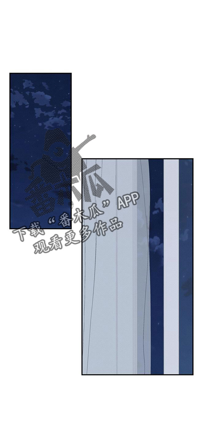 第51章：疯了0