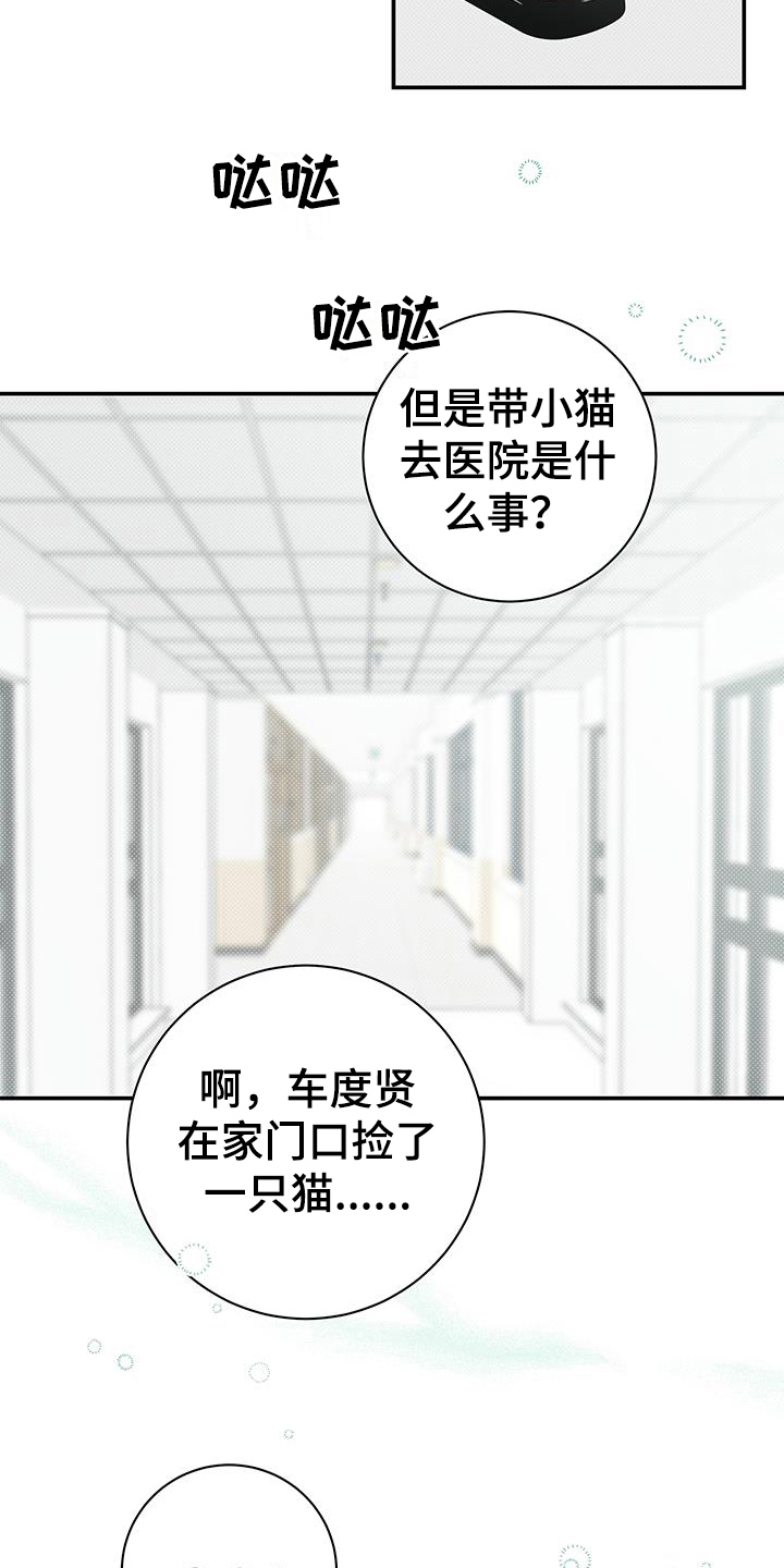 第15章：针对11