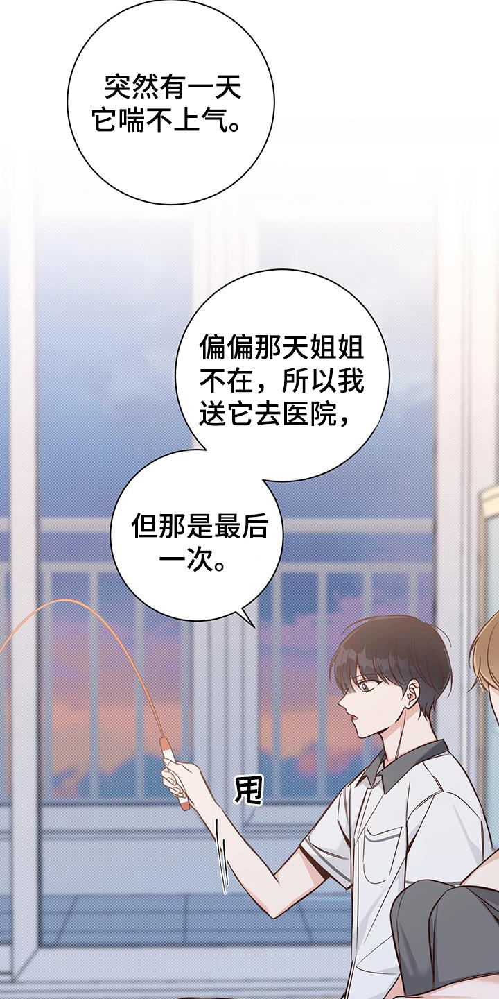 第16章：了解6