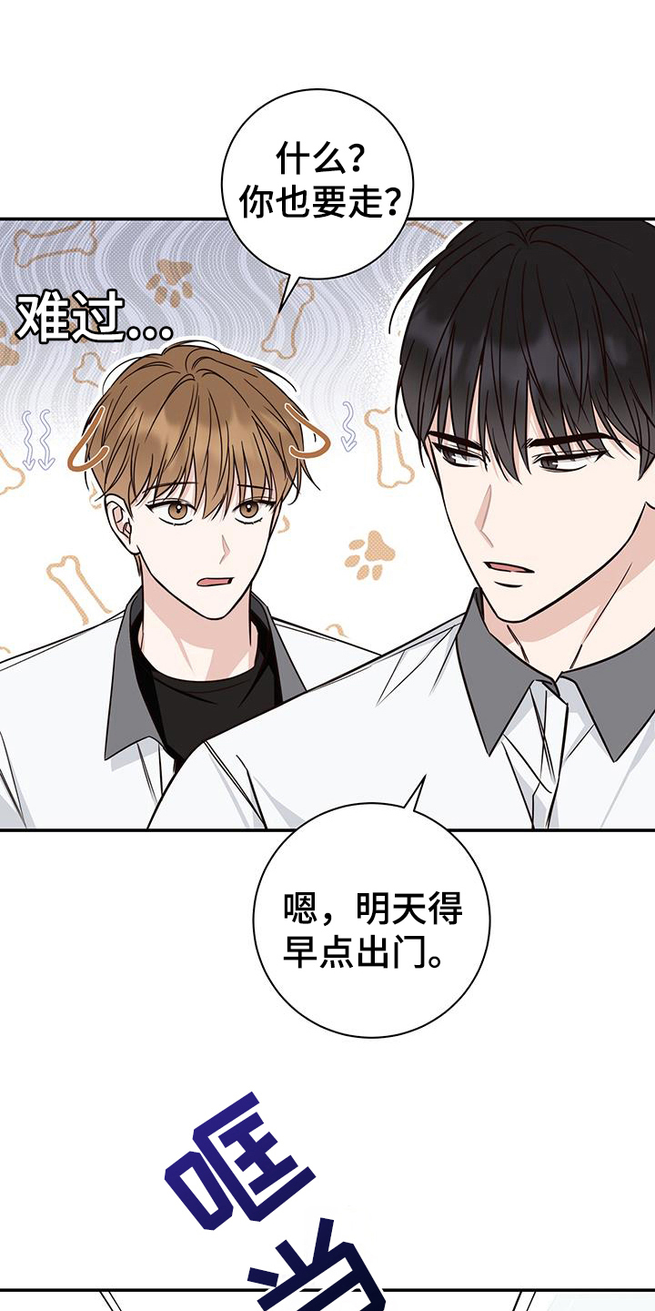 第18章：解决11