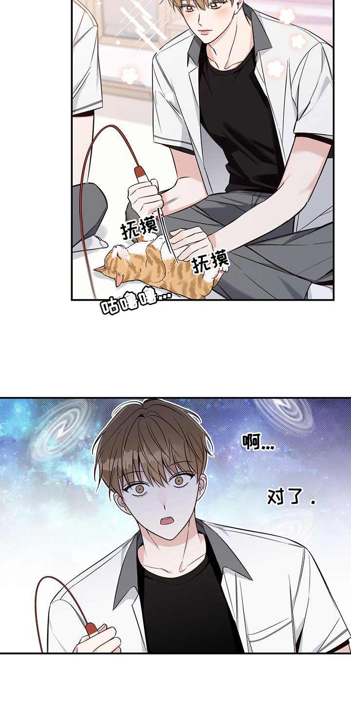 第16章：了解12