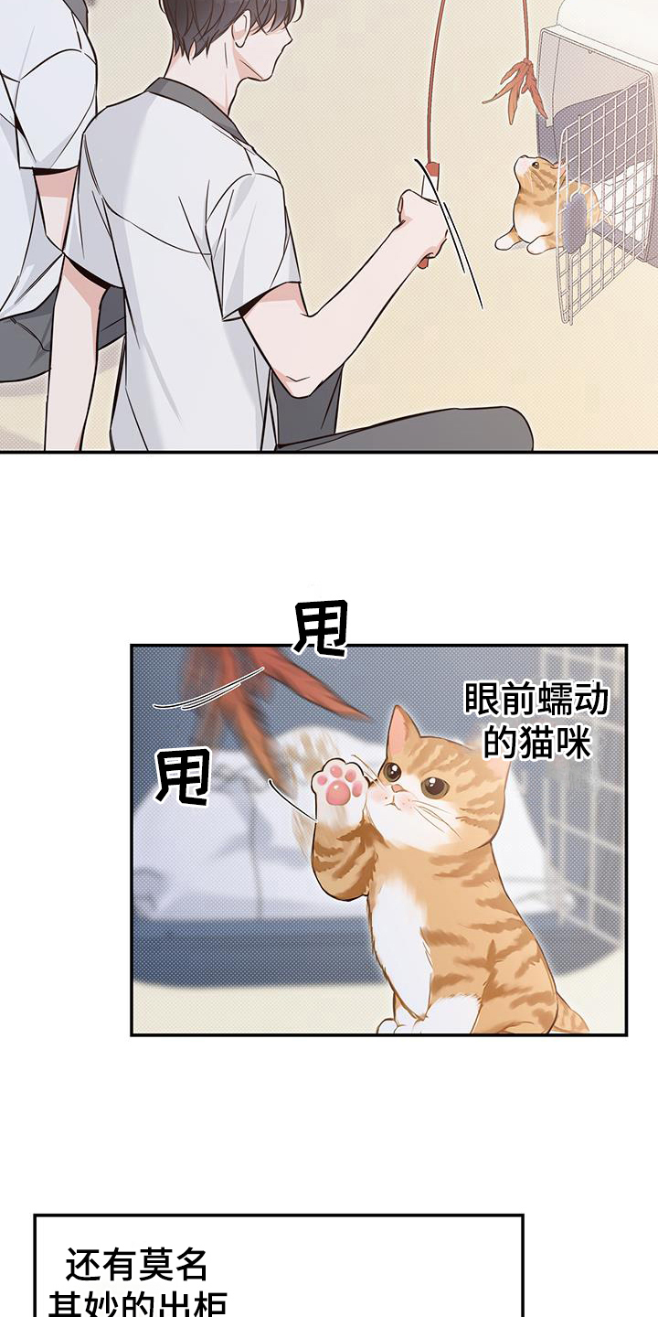 第16章：了解8