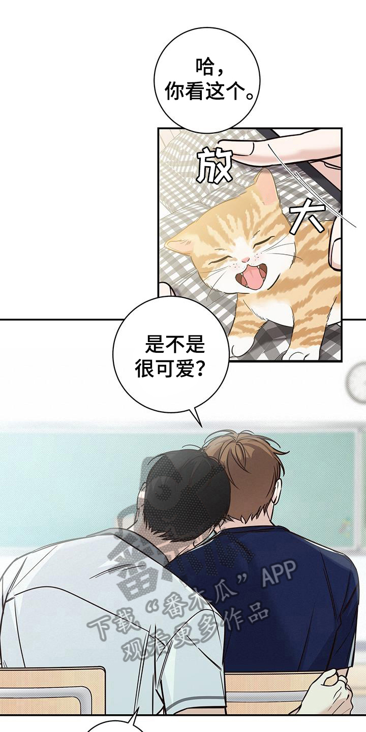 第21章：嫉妒0