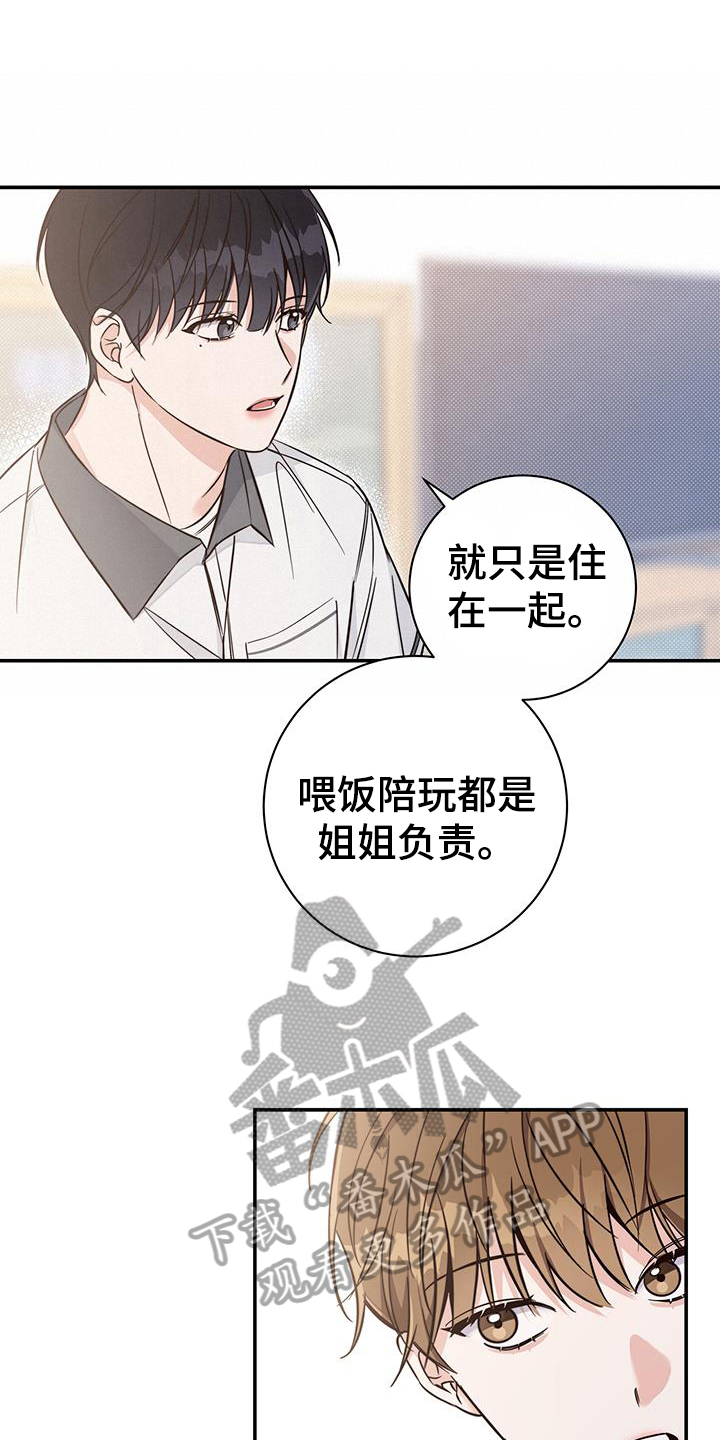 第16章：了解2