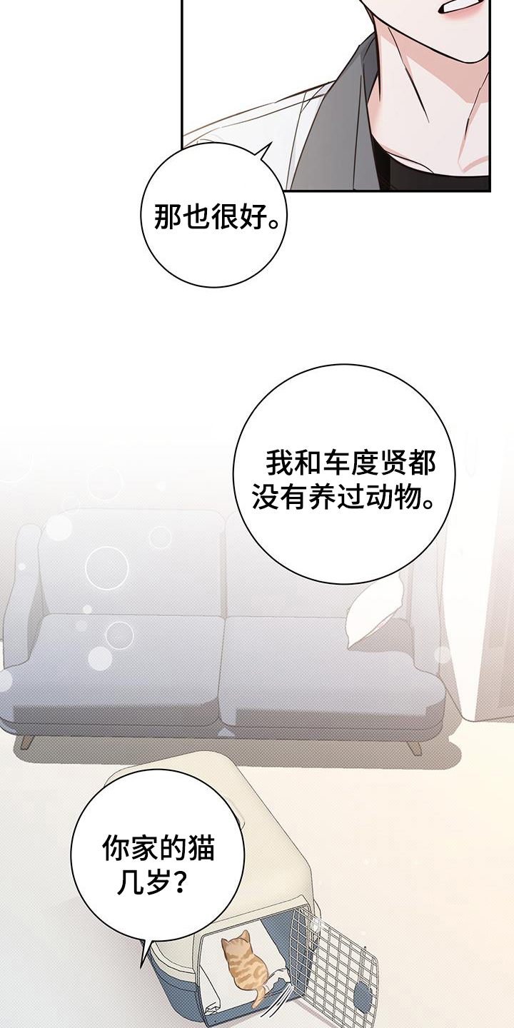 第16章：了解3