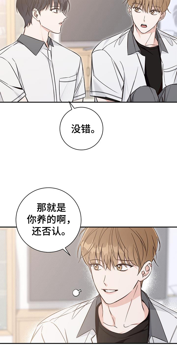 第16章：了解1