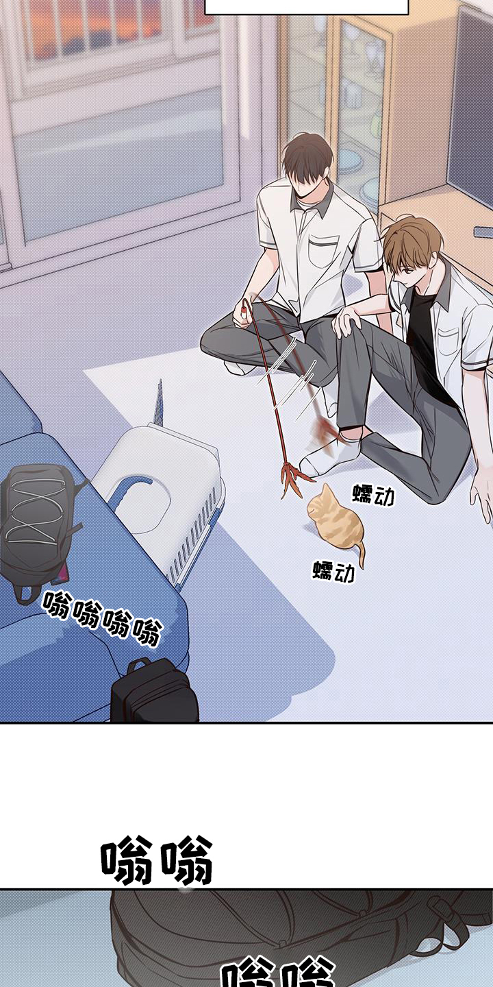 第16章：了解10