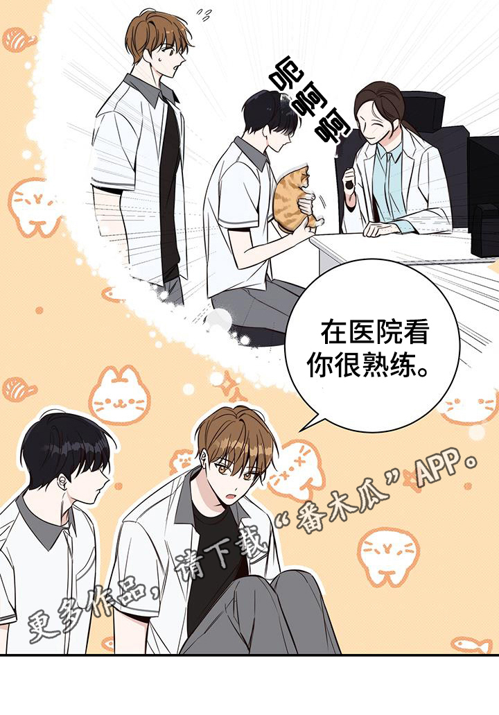第15章：针对18