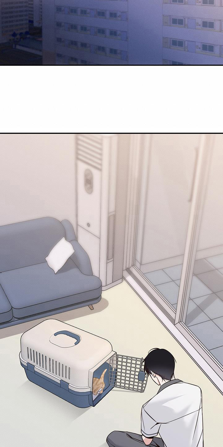 第15章：针对14