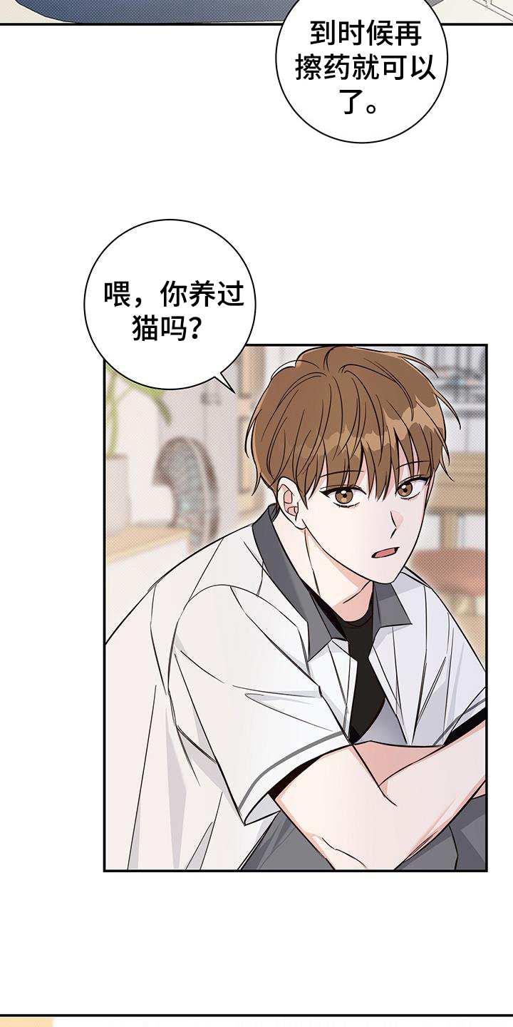 第15章：针对17