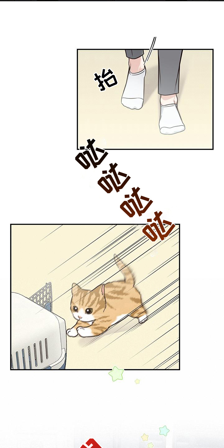 第17章：警惕11