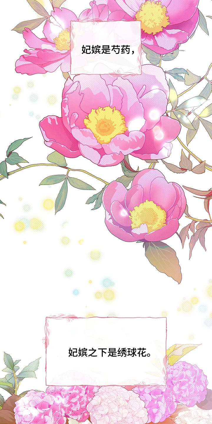 第37章：戴花17