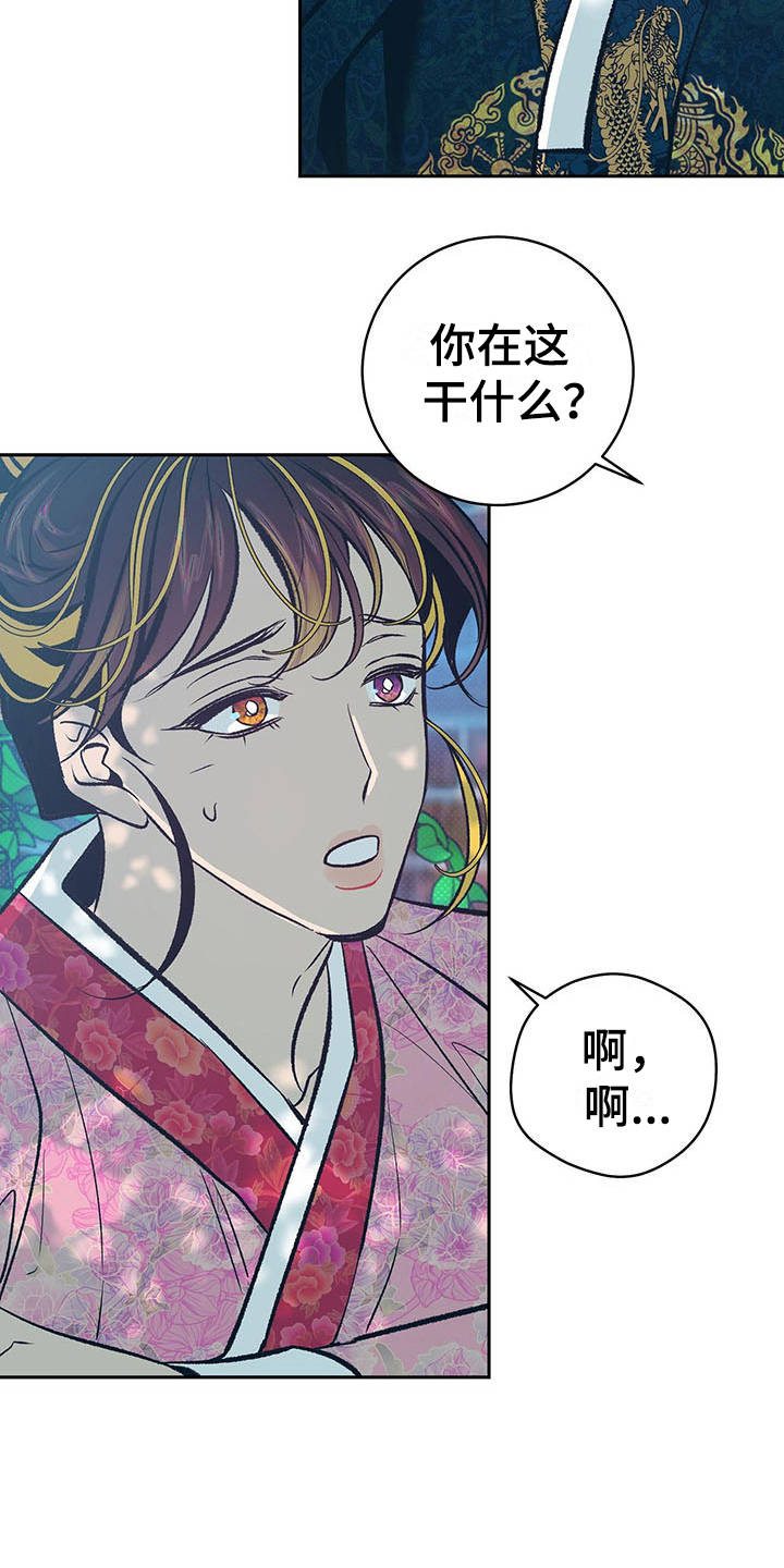 第11章：寻找12