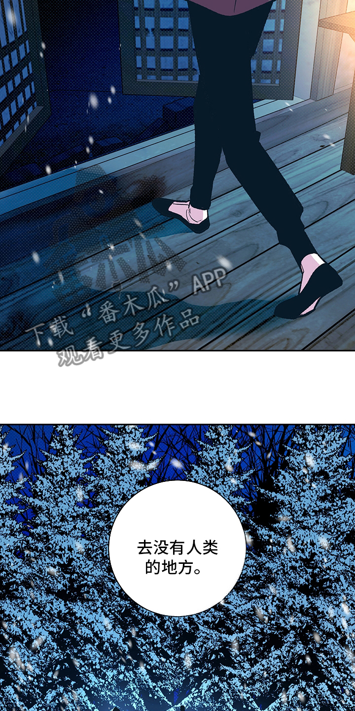 第28章：幻影20