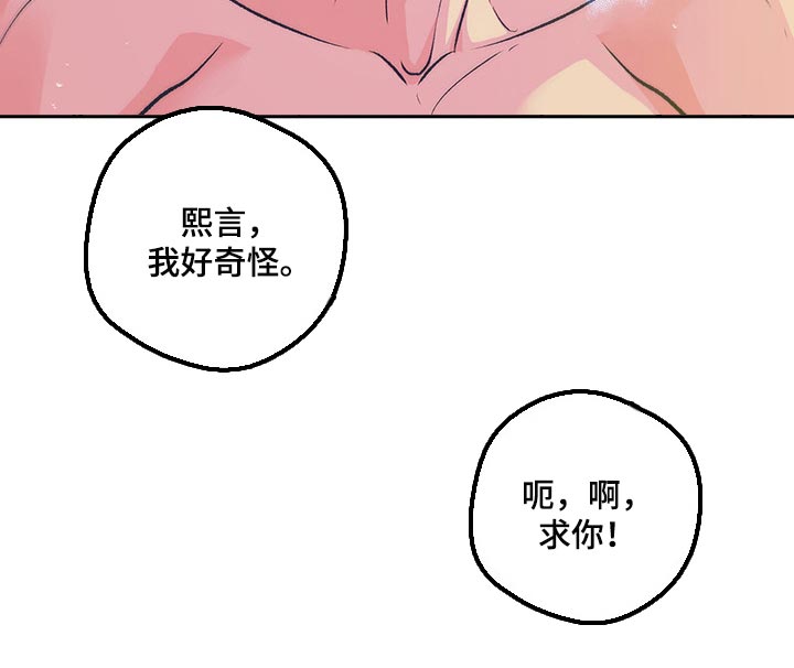 第40章：【番外】我爱你17