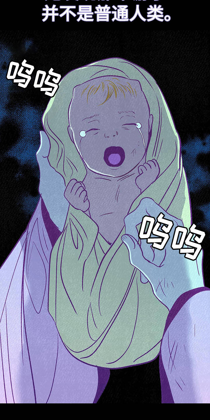 第4章：有效果19