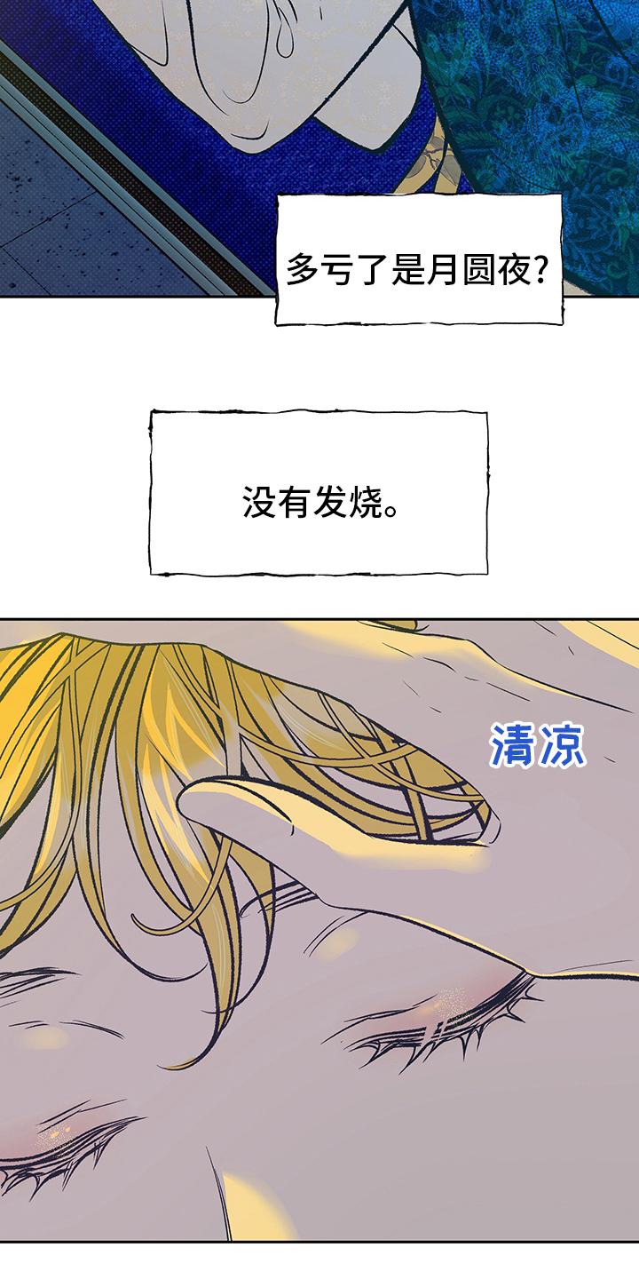 第25章：又开始了15