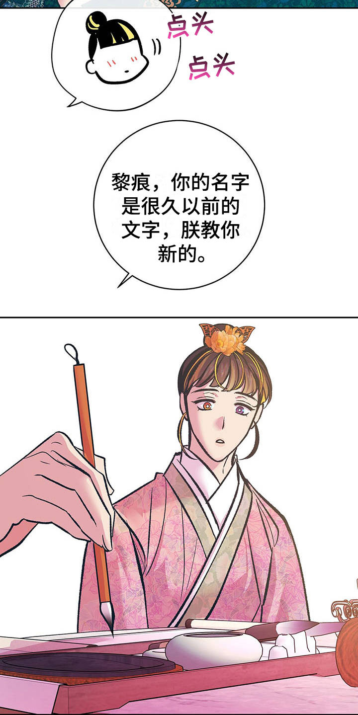 第14章：名字5