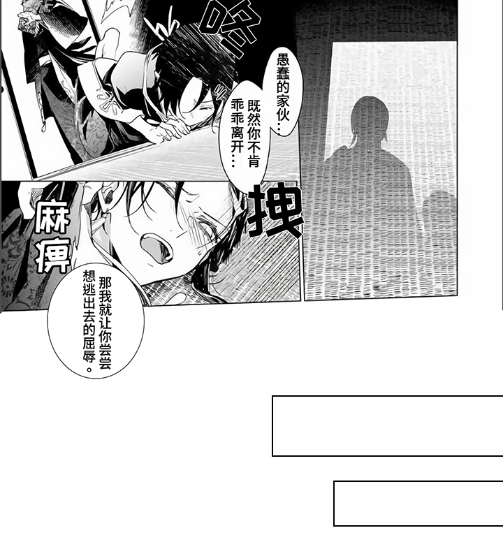 第3章：态度5