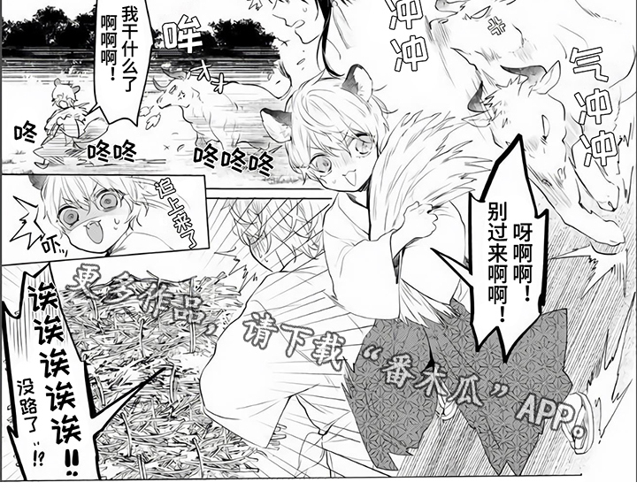 第4章：不放弃5
