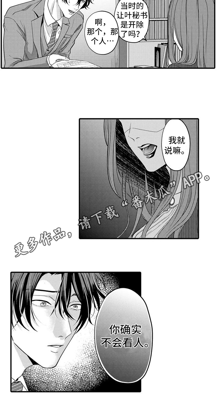 第17章：不会看人11
