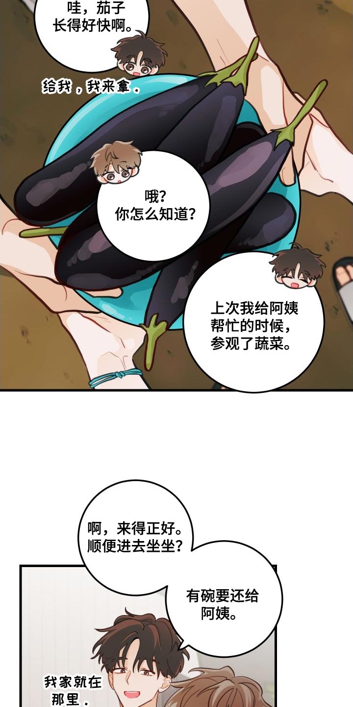 第29章：送茄子16