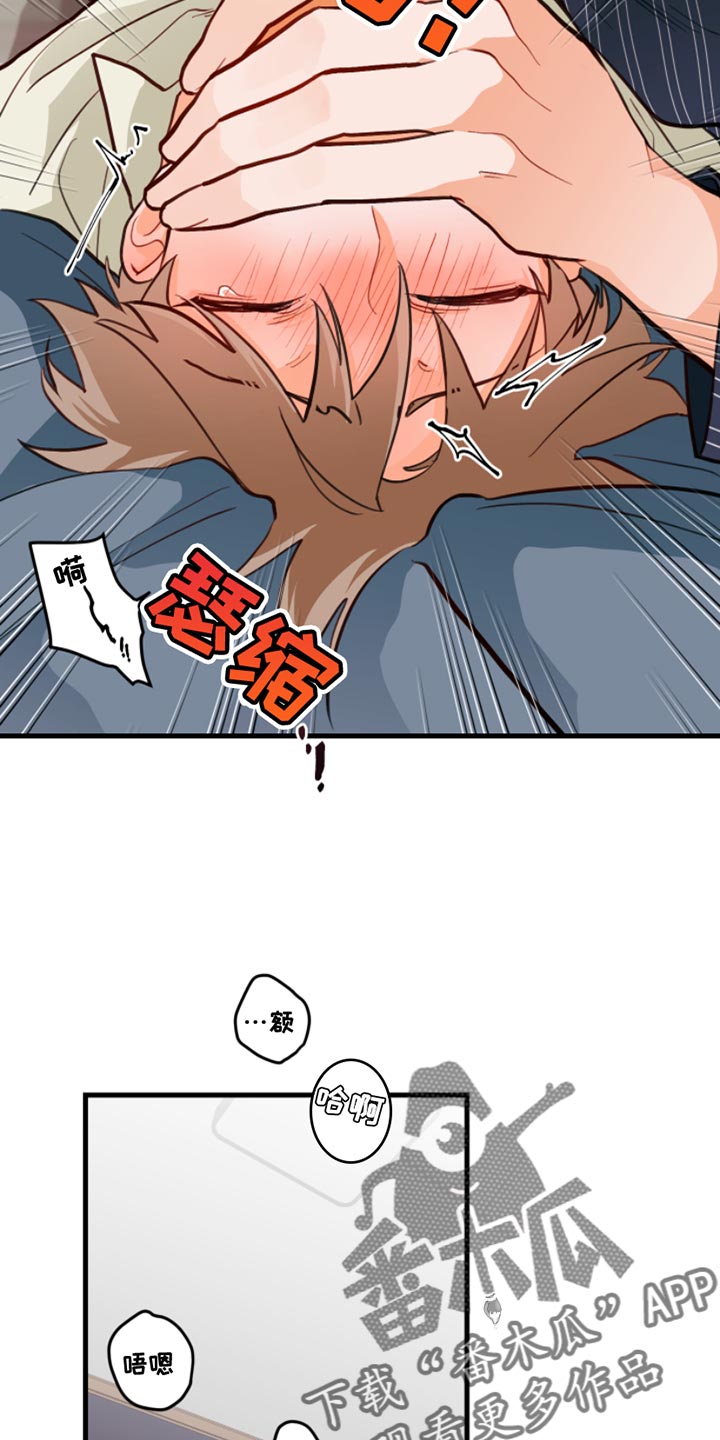 第15章：真有趣呢25