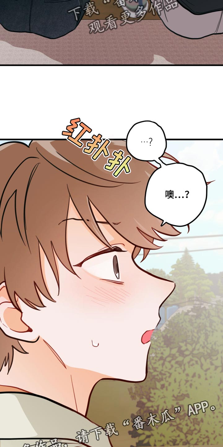第19章：真的很喜欢28