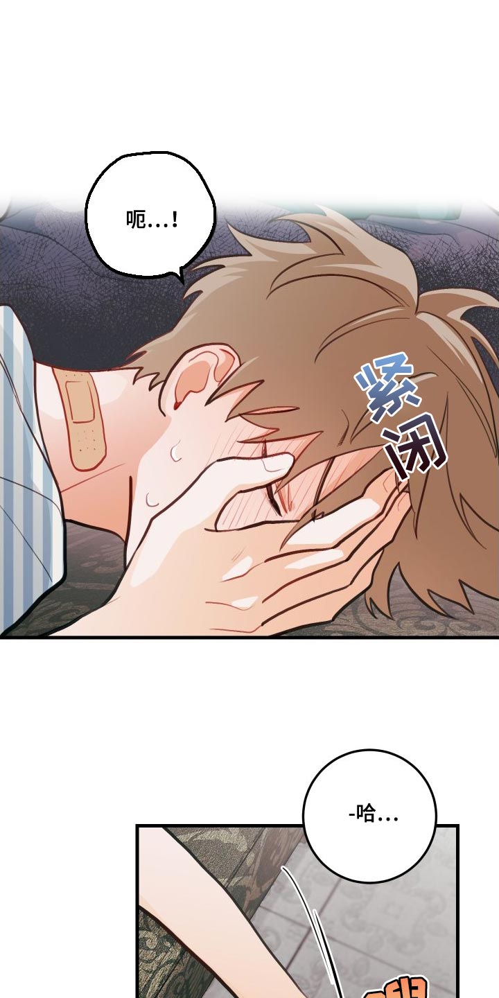 第28章：死灰复燃的感情11