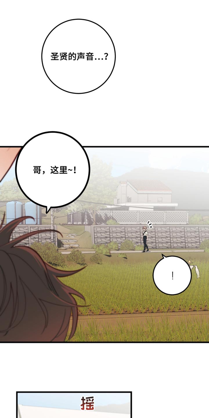 第17章：蜂蜜水16