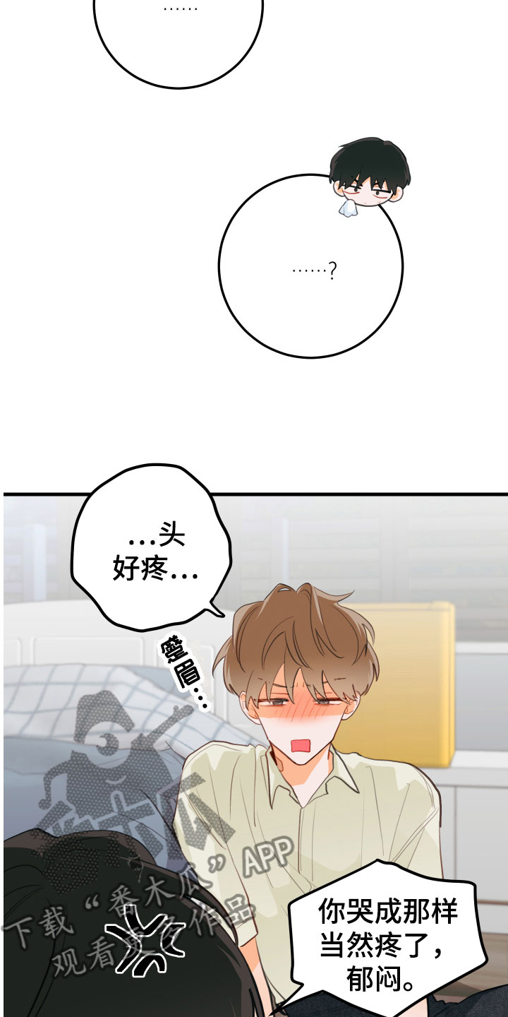 第13章：醉了19