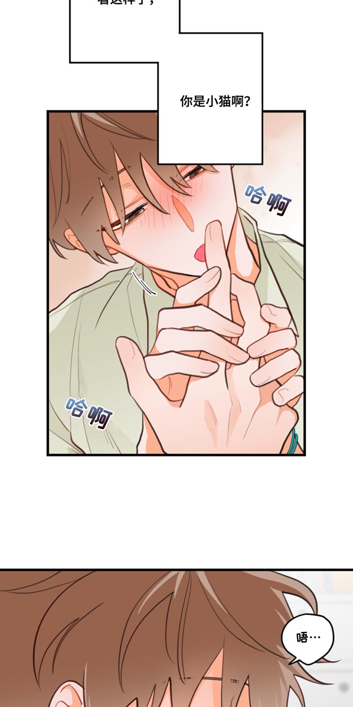 第14章：别乱动13