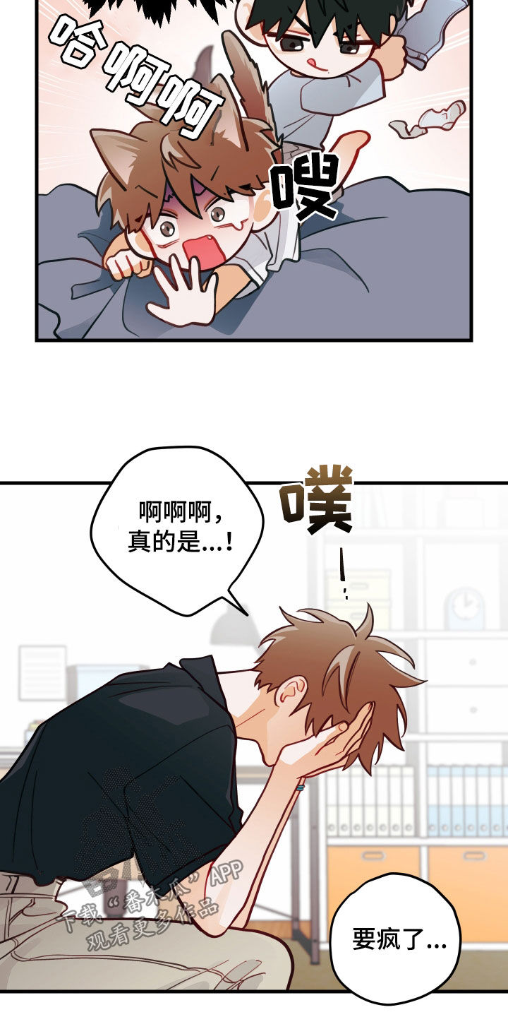 第56章：笑容17