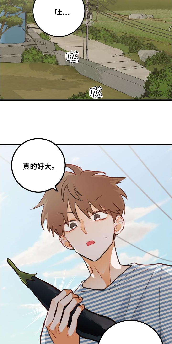 第29章：送茄子11