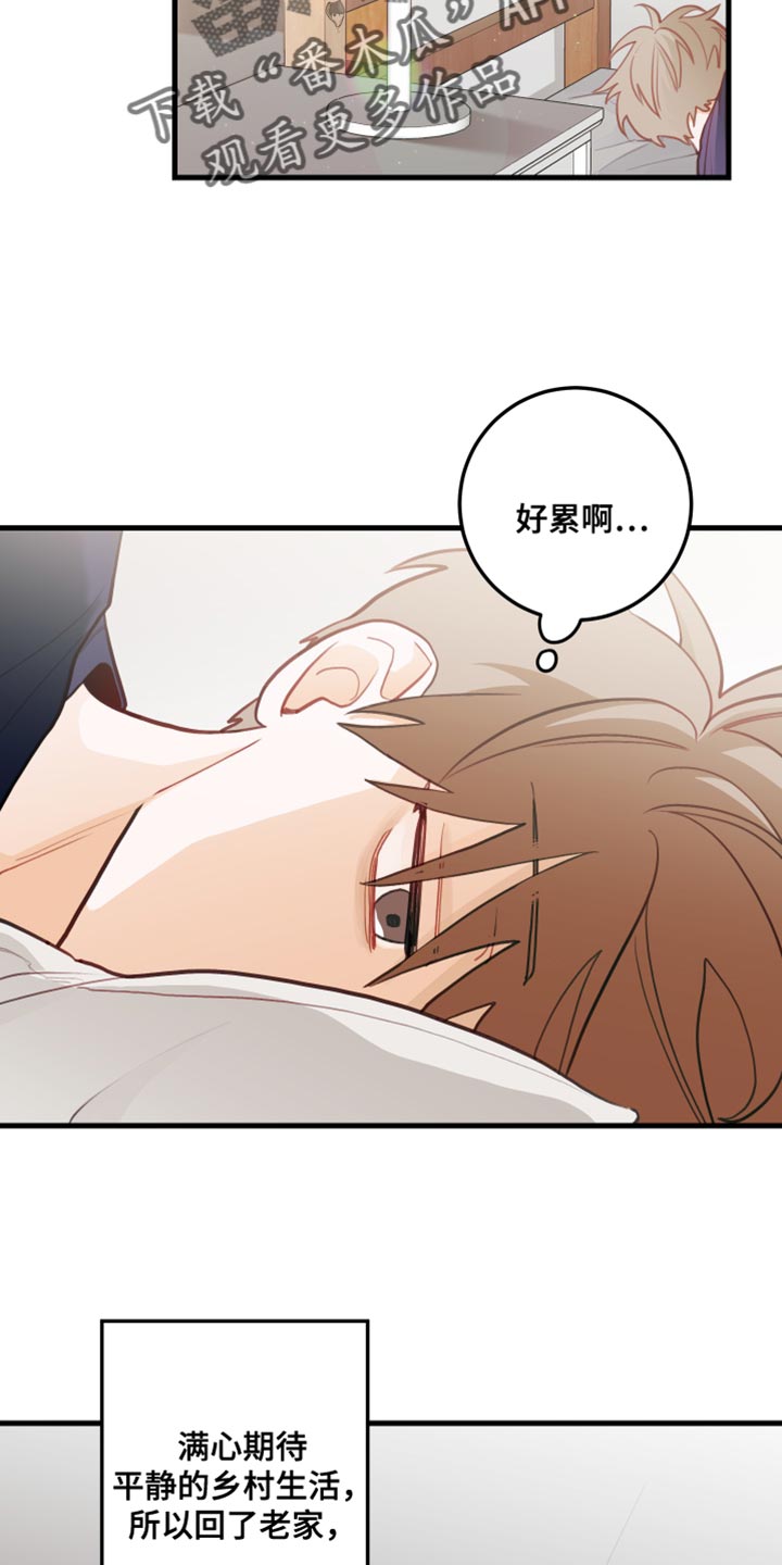 第44章：野营1