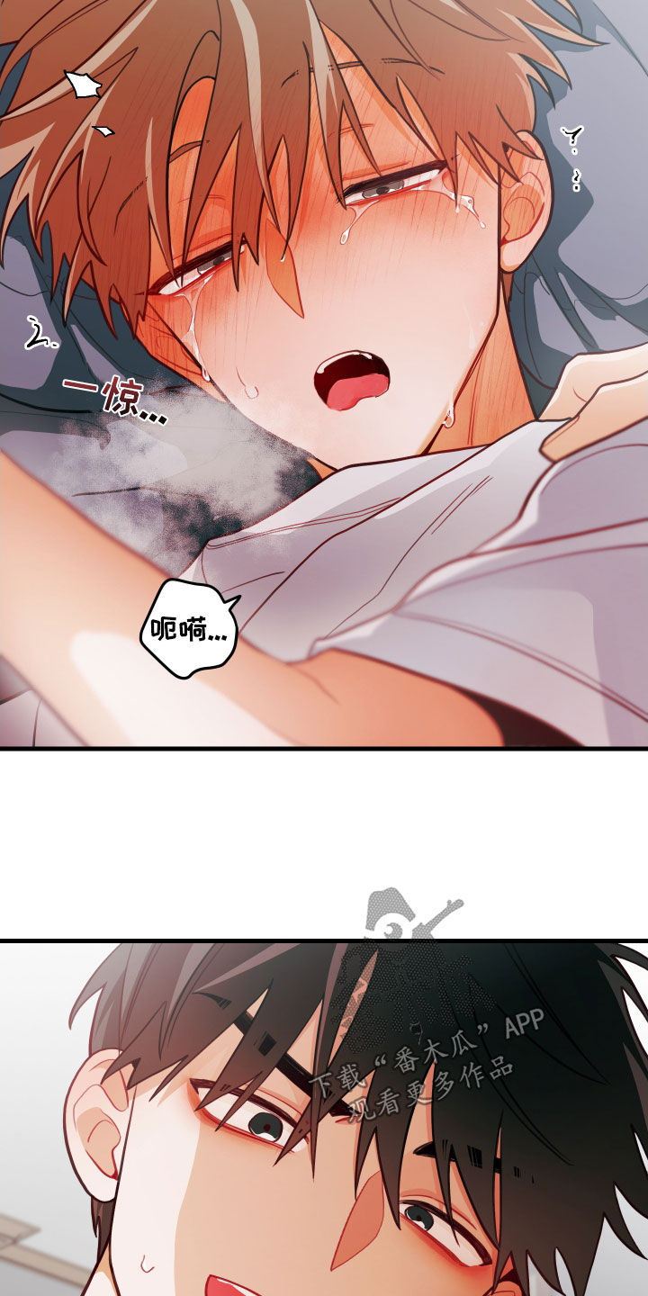 第60章：别担心14