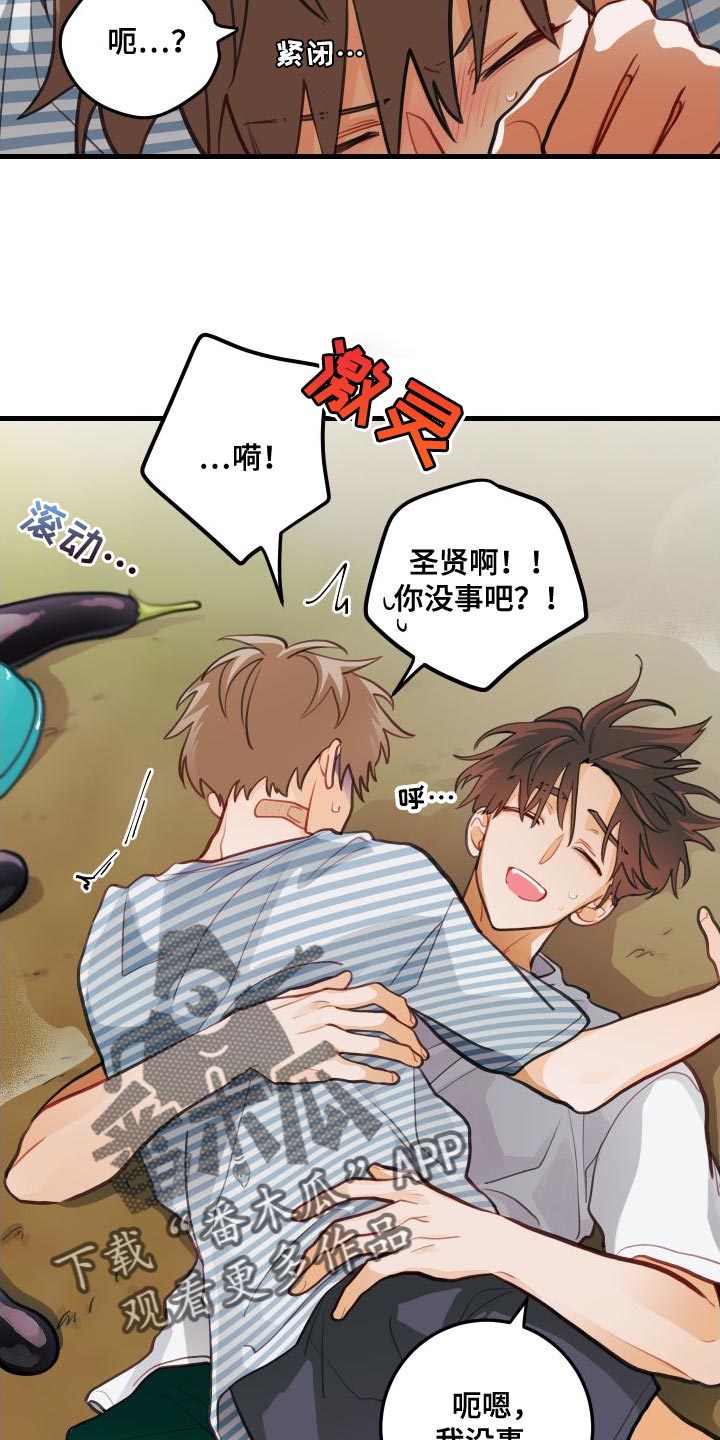 第29章：送茄子21