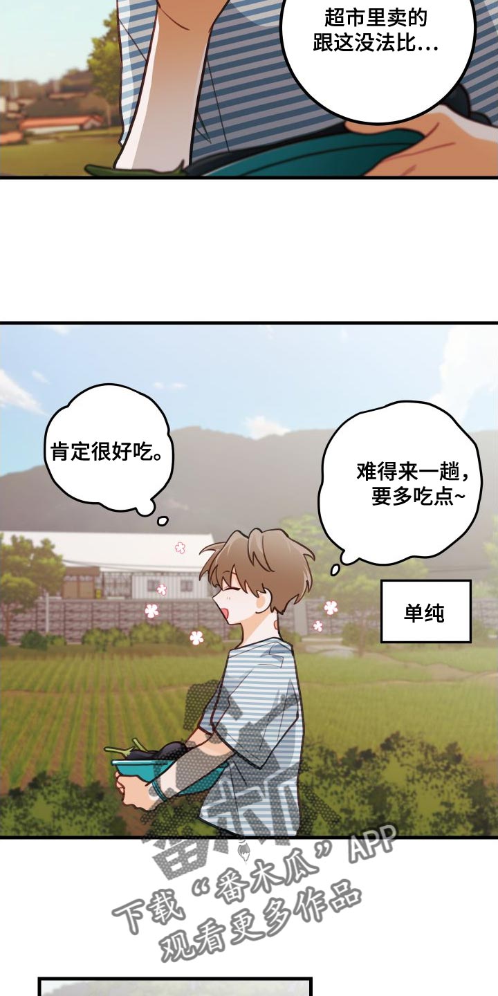 第29章：送茄子12